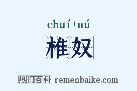 椎奴是什么意思的图片